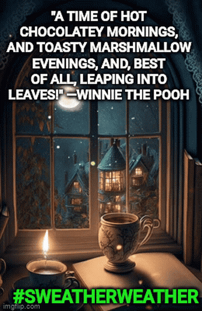 Video Game Character Asking About Sweater Weather GIF