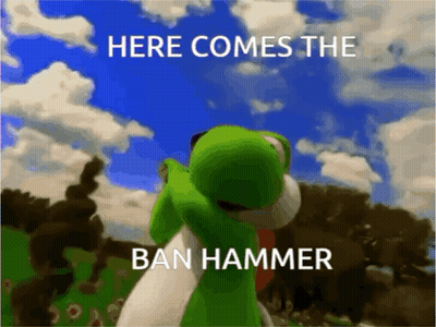 Video Game Character Here Comes The Ban Hammer GIF