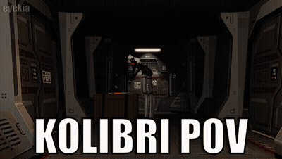 Video Game Character Kolibri POV GIF