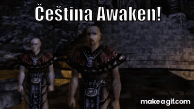 Video Game Character Says Cestina Awaken GIF