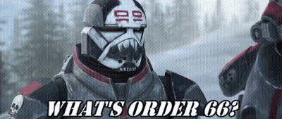 Video Game Character Says What's Order 66 GIF