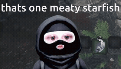 Video Game Character Wearing Mask Saying That's One Meaty Starfish GIF