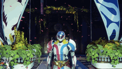 Video Game Destiny 2 Scorecard Emote  GIF