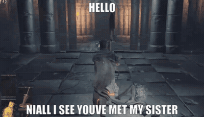 Video Game Hello Niall Youve Met My Sister GIF