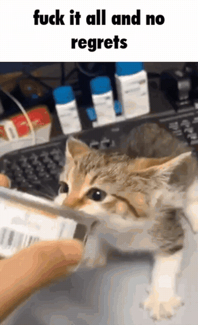 Video Game Scene Super Accurate Representation BTW GIF