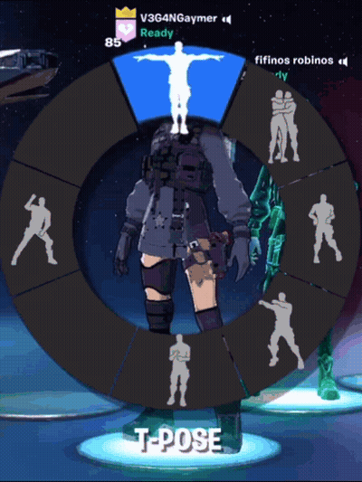 Video Game Screen Person T-Posing GIF
