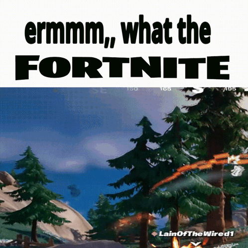 Video Game Screenshot Ermmm What The Fortnite GIF