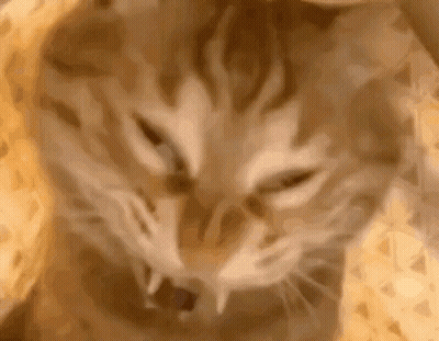 Video Game Screenshot Saying Eurobeat GIF
