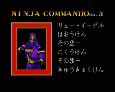 Video Game Screenshot Saying Ninja GIF