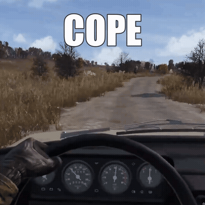 Video Game Screenshot With Cope GIF