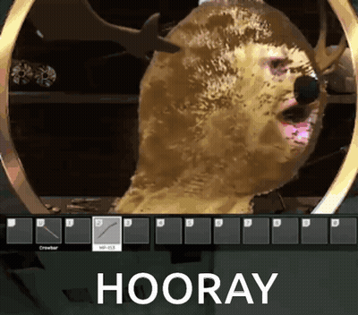 Video Game Screenshot With Hooray GIF