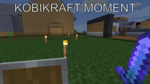 Video Game Screenshot With Kobikraft Moment GIF