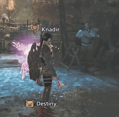 Video Game With Knadir And Destiny GIF