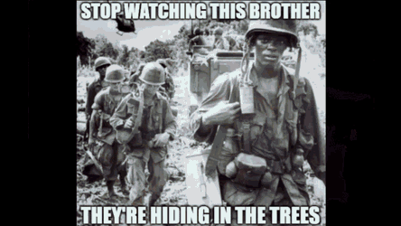 Vietnam Vietnam Flashback GIF