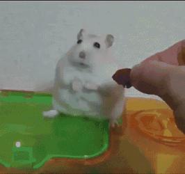 Vietnamflashback GIF