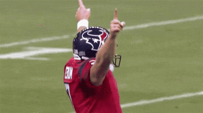 Vikings Football Player High-Fiving Crowd GIF