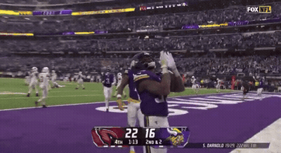 Vikings Vs Cardinals Football Game GIF