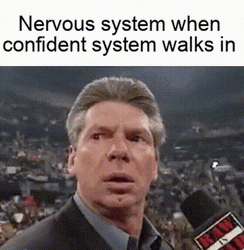 Vince Mcmahon Meme Nervous System Vs Confident System GIF