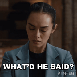 Vinessa Vidotto What Did He Say Meme GIF