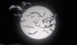 Vintage Halloween Moon Bats GIF