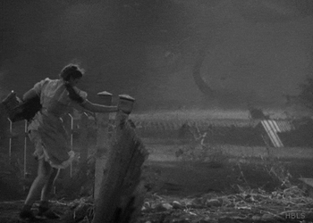 Vintage Wizard Of Oz Dorothy Kicking Post GIF