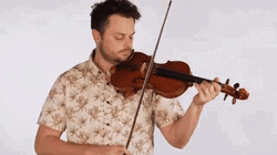Violin Performance Rob Landes GIF