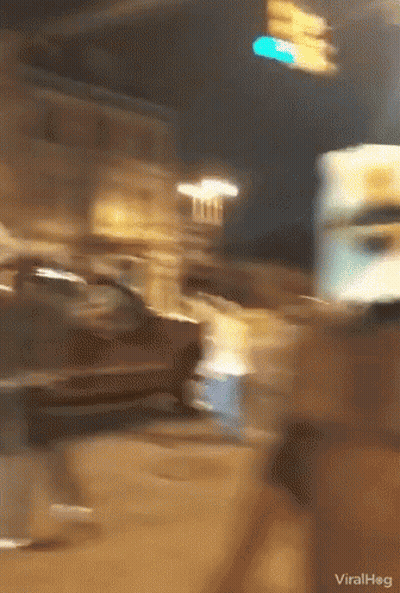 Viralhog Street Scene GIF
