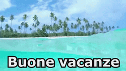 Virgin Islands Caribbean Beach Waves GIF
