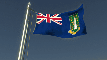 Virgin Islands Flag GIF