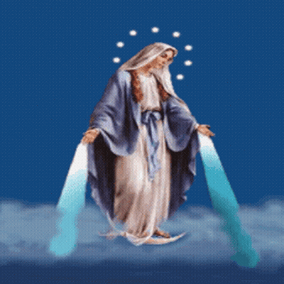 Virgin Mary Surrounded By Flowers And Stars GIF