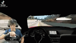 Virtual Car Crash Meme GIF