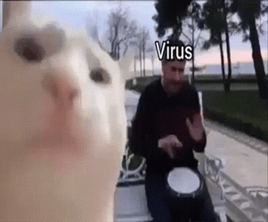 Virus Cat Windows Computer GIF