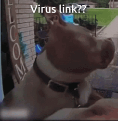Virus Link Confused Bulldog GIF