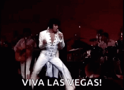 Viva Las Vegas GIF