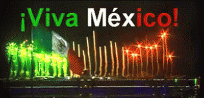 Viva Mexico Sign Lit Up At Night GIF