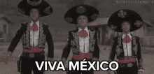 Viva Mexico Three Amigos GIF