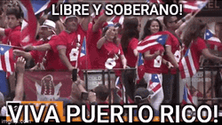 Viva Puerto Rico Celebration GIF