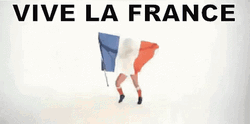 Vive La France Bastille Day GIF
