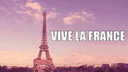 Vive La France Bastille Day GIF