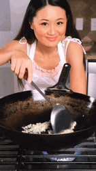 Vivian Aronson Fry Rice GIF