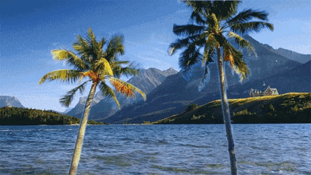 Vnch Viet Nam Flag GIF