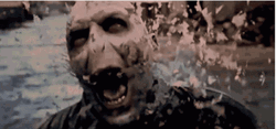 Voldemort Shattered Little By Little GIF