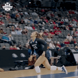 Volleyball Game In Full Send GIF