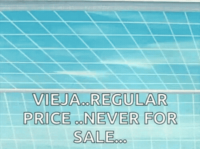Volleyball Net Vieja Regular Price Never For Sale