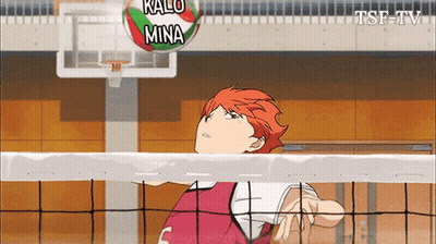Volleyball Player Hitting Mina Ball