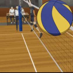 Volleyball Spike Hajime Iwaizumi Haikyuu