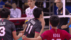 Volleyball World Japan Yes