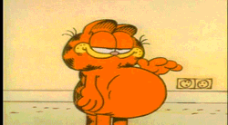 Vore Garfield Tapping Belly GIF