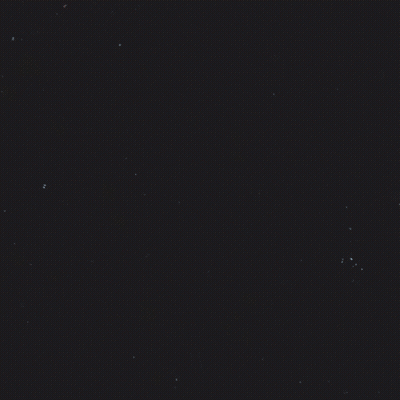 Vote And Voice Will Win GIF