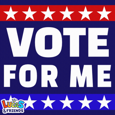 Vote For Me Sign With Stars GIF